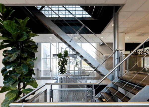 Modern interior of Rietlandpark with metal staircases, large glass windows, and indoor plants.