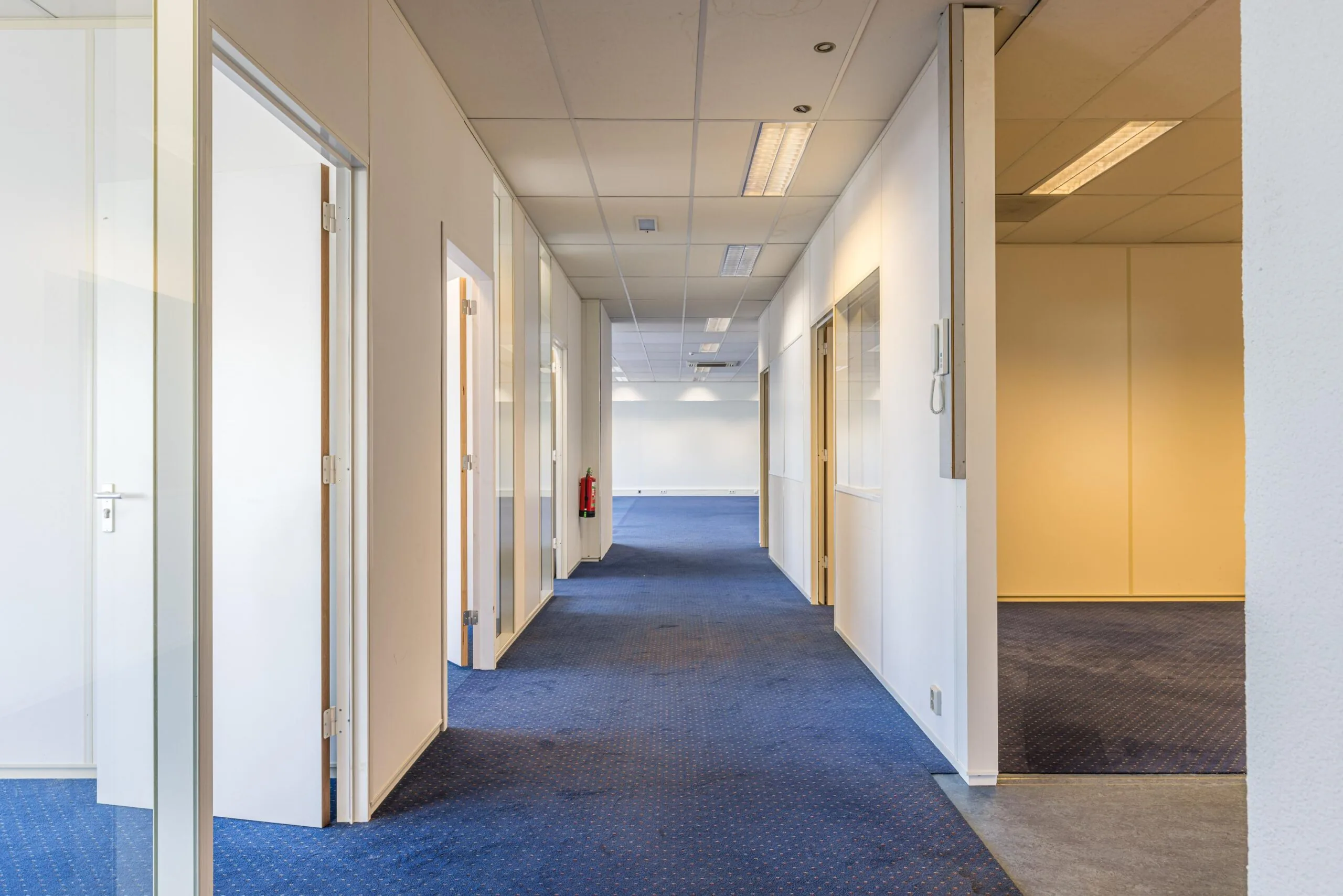 Bright hallway in a modern office building on Zonnebaan with blue carpet and white walls.