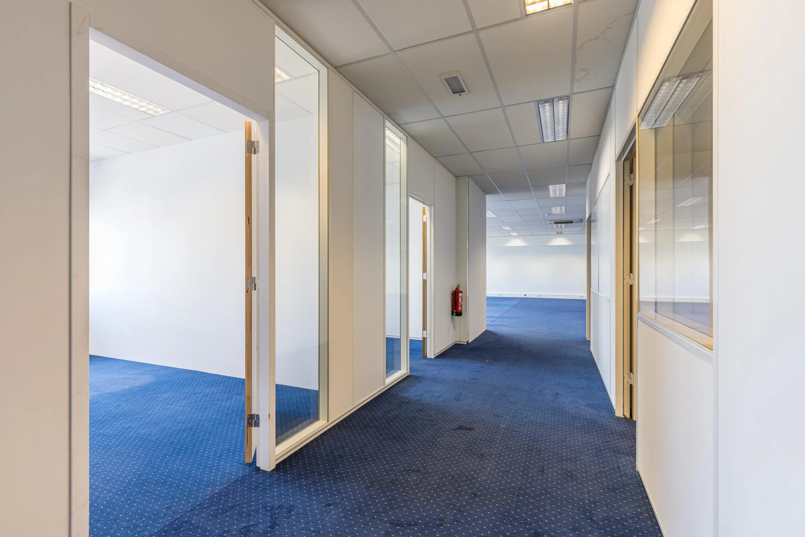Hallway in a modern office building on Zonnebaan with blue carpet, white walls, and glass-walled rooms.