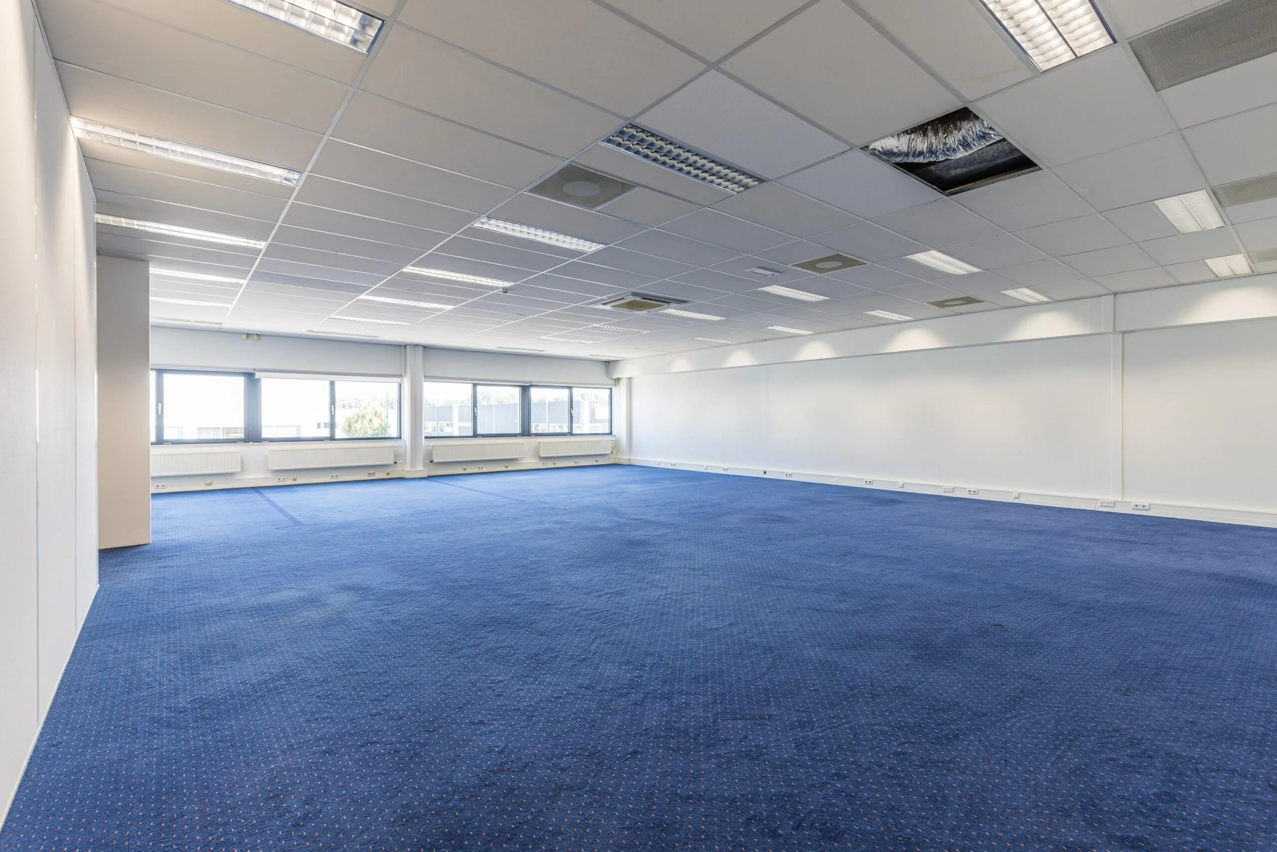 Empty office space with blue carpet flooring and large windows at Zonnebaan.