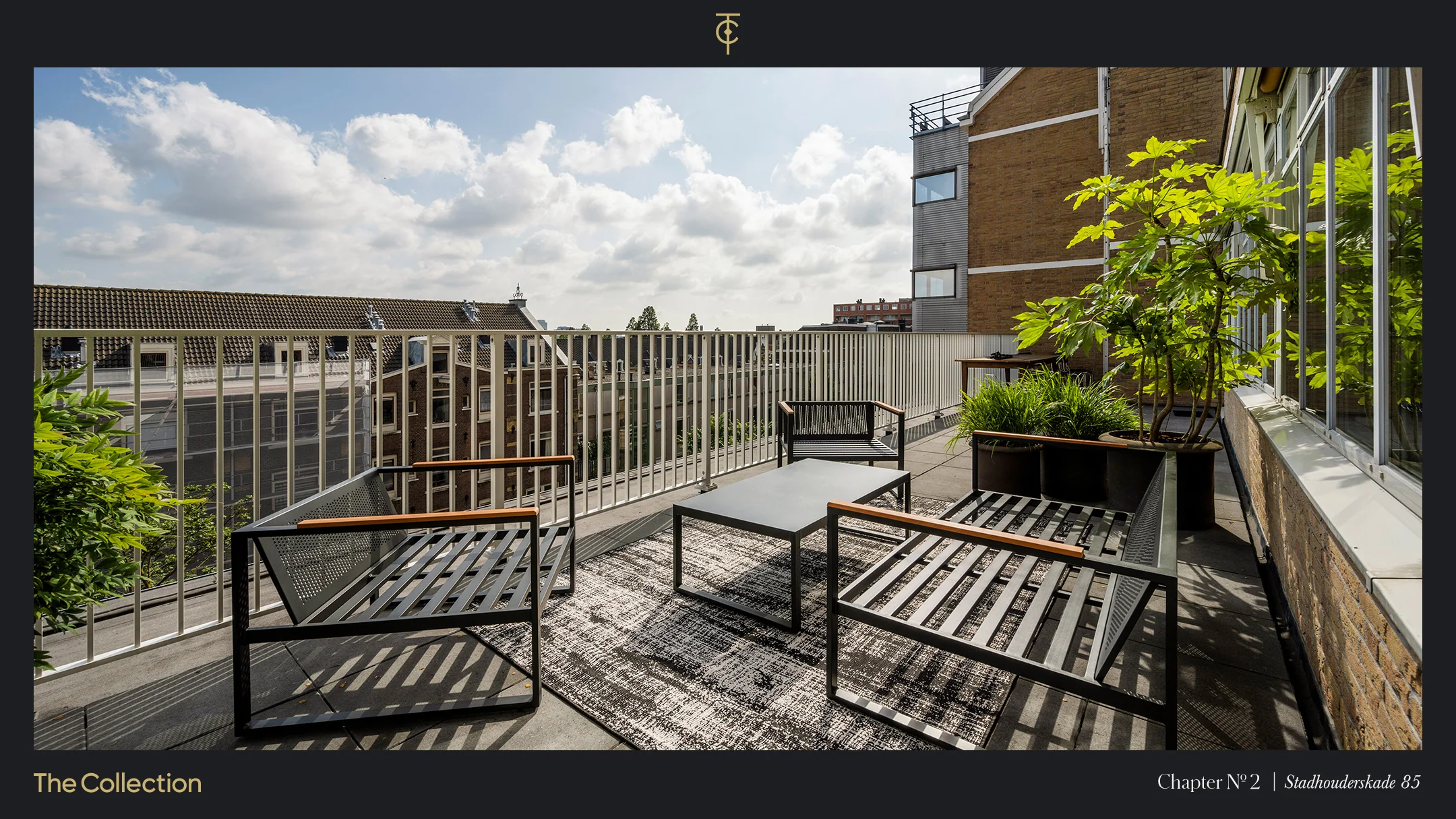 Modern gemeubileerd dakterras aan de Stadhouderskade met uitzicht over de stad en omringd door groene planten.