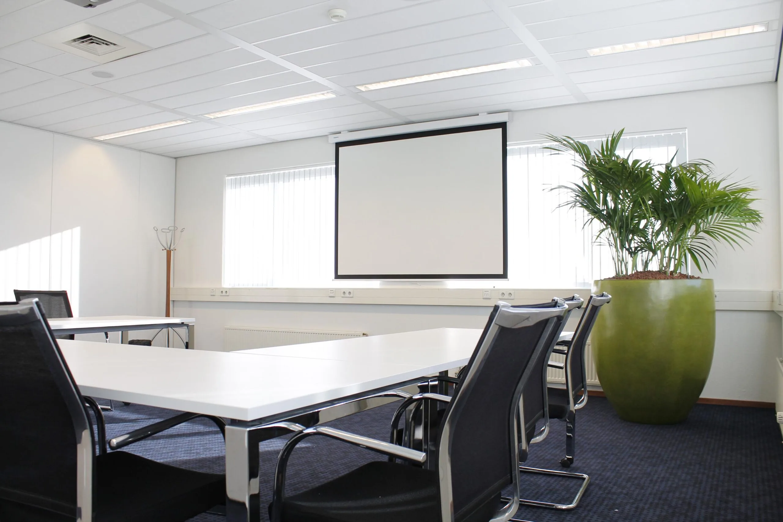 Vergaderruimte aan de Laan van S-Gravenmade met modern meubilair, een projectiescherm en een grote plant in een groene pot.