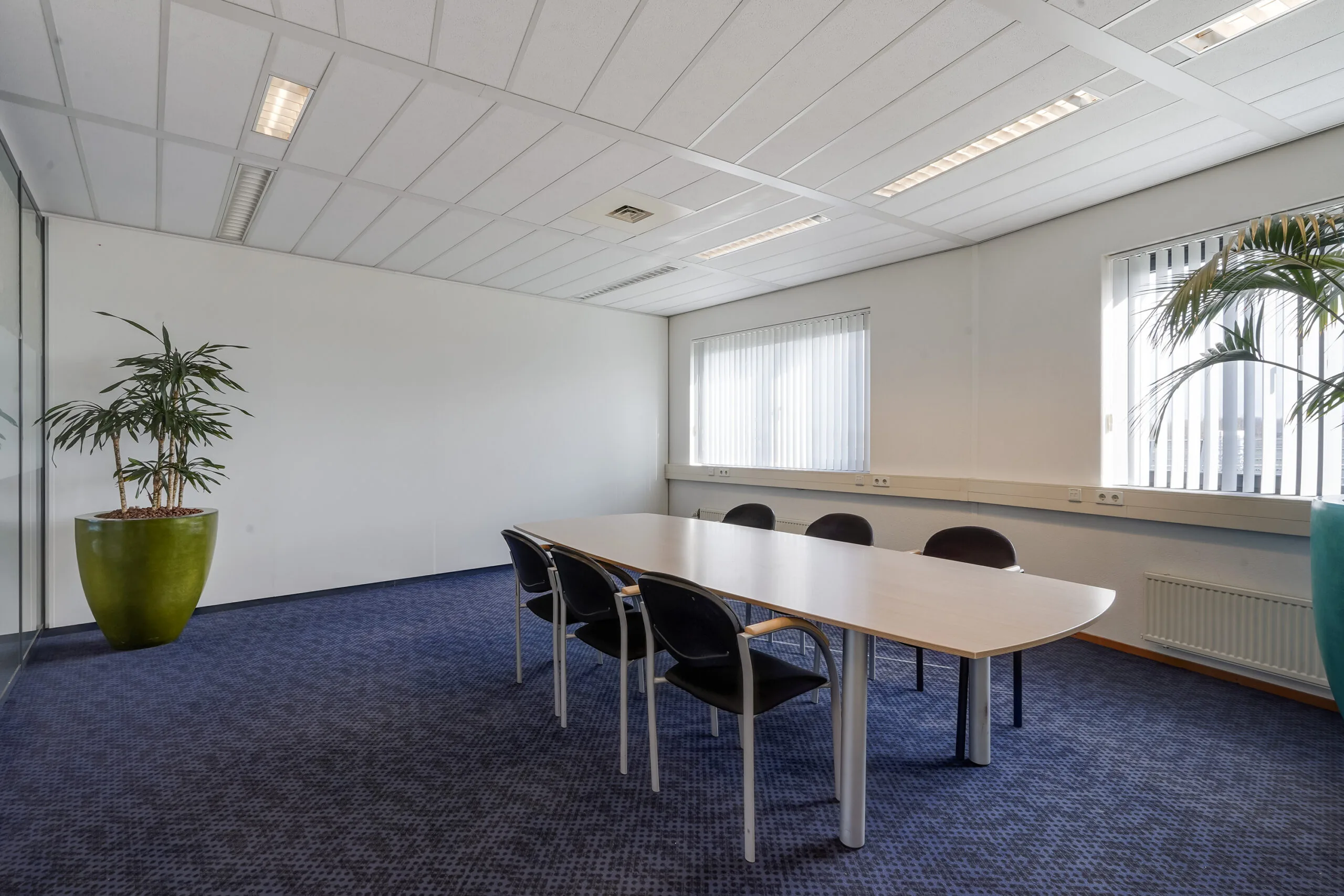 Vergaderruimte aan de Laan van s-Gravenmade met rechthoekige tafel, zes stoelen, blauw tapijt en grote planten in groene potten.