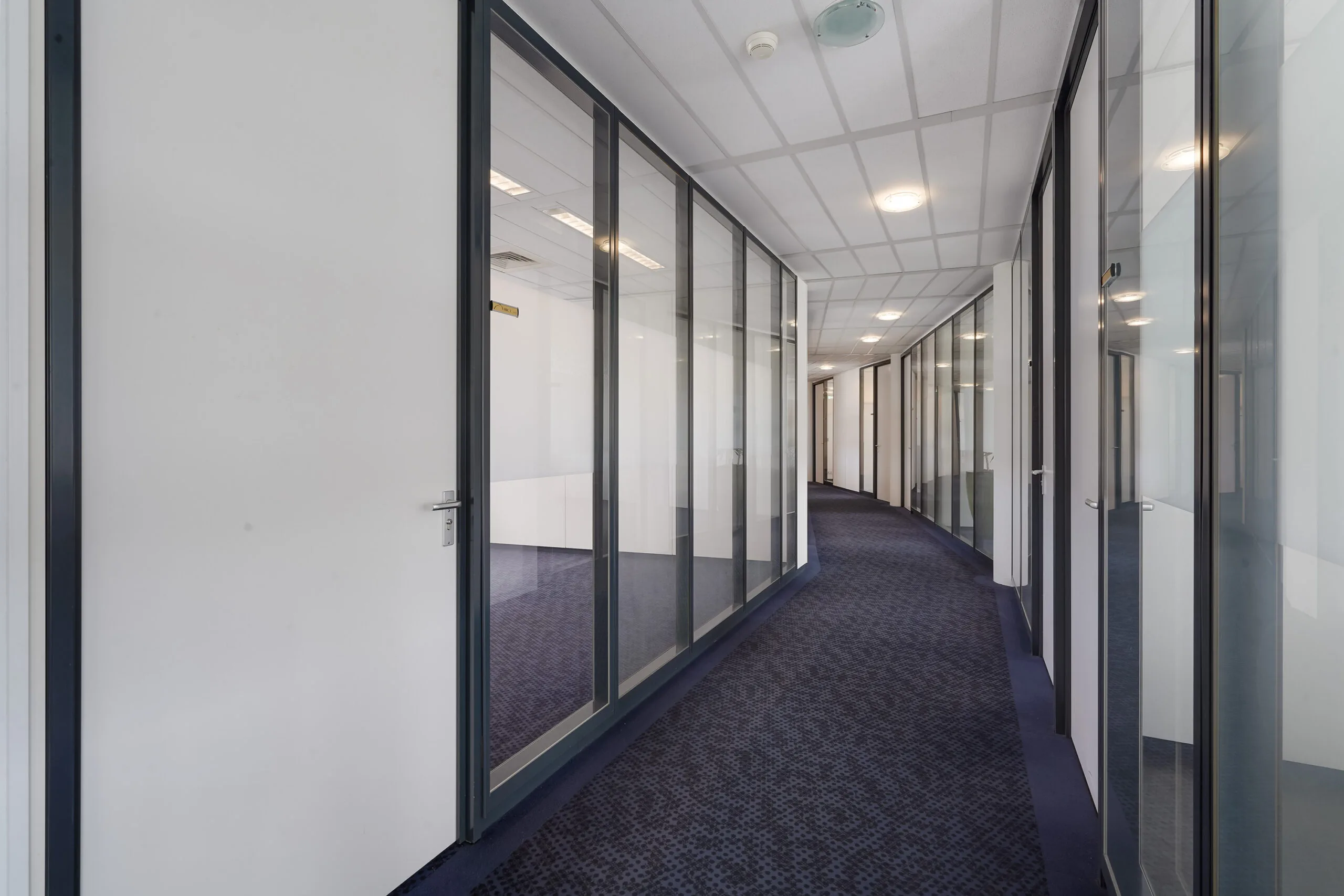 Lichte, modern ingerichte kantoorgang aan de Laan van ’s-Gravenmade met glazen wanden en blauwe vloerbedekking.