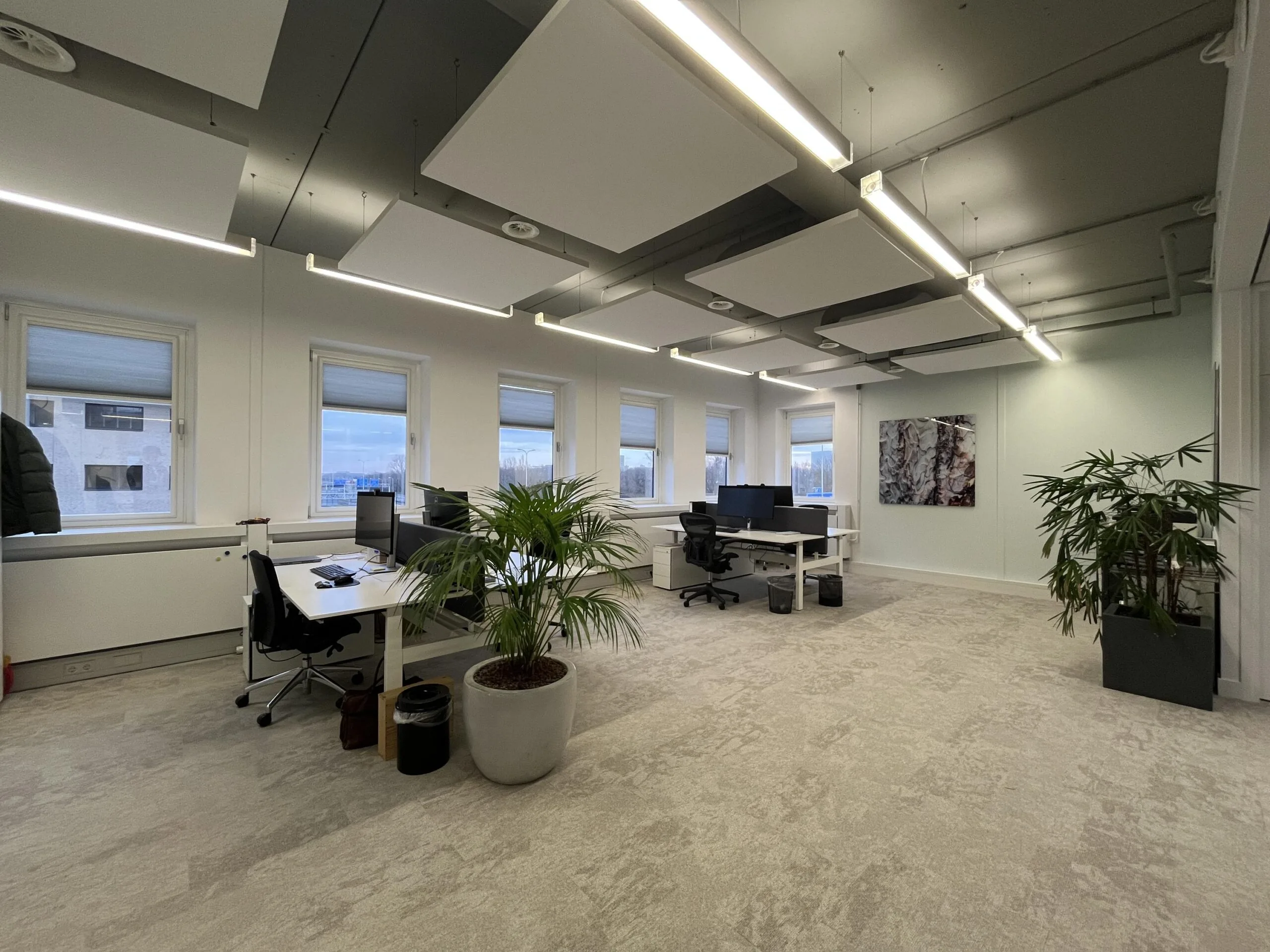 Moderne en lichte kantoorruimte aan de Euclideslaan met werkplekken, planten en akoestische panelen aan het plafond.