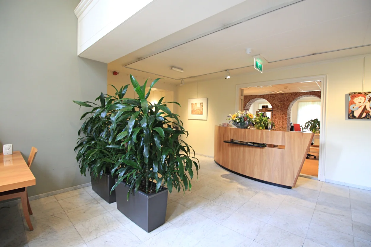 Receptiehal aan de Museumlaan met houten balie, grote kamerplanten en kunst aan de muur.