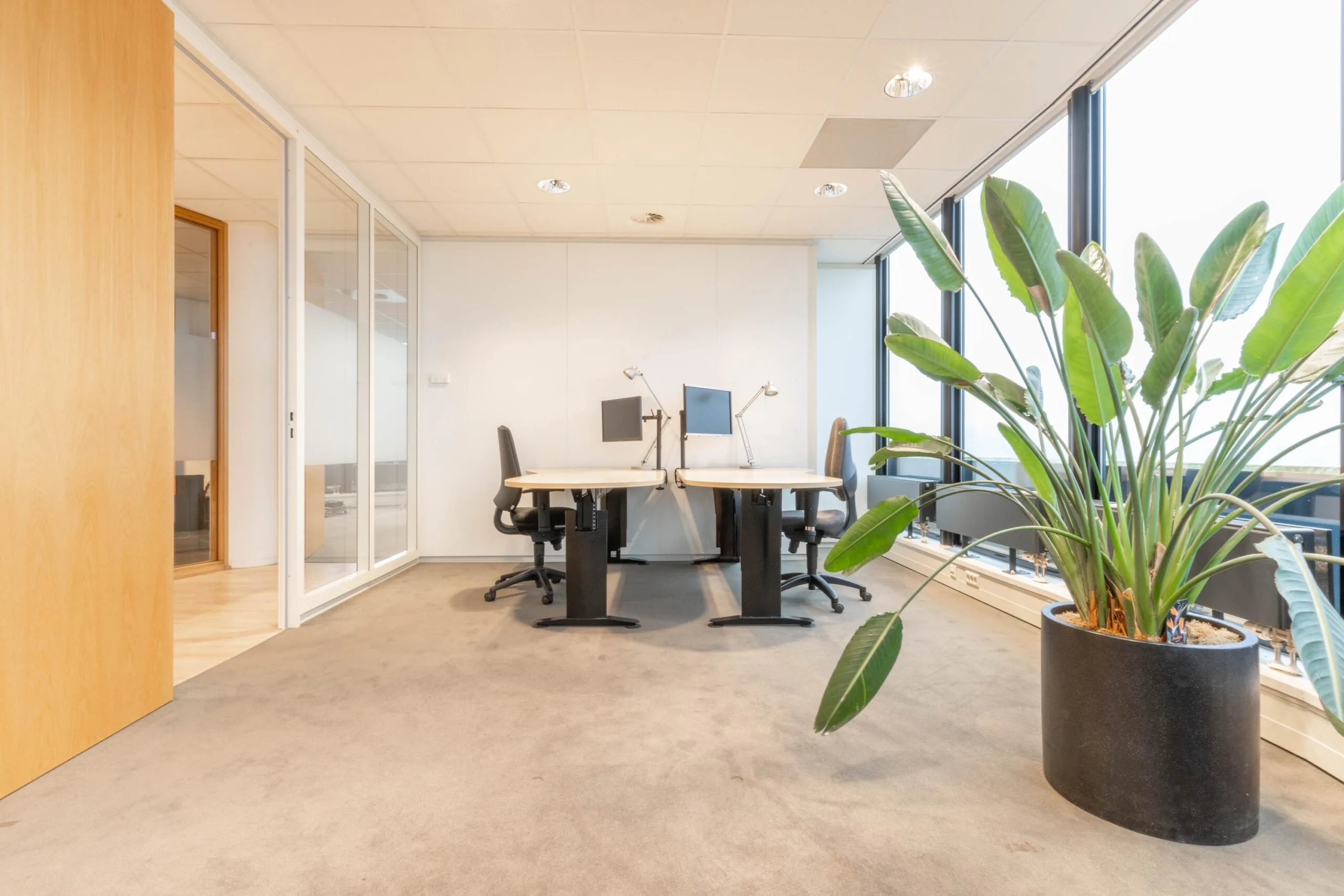 Moderne kantoorruimte aan de 1e Hogeweg met twee werkplekken, grote kamerplant en veel daglicht.