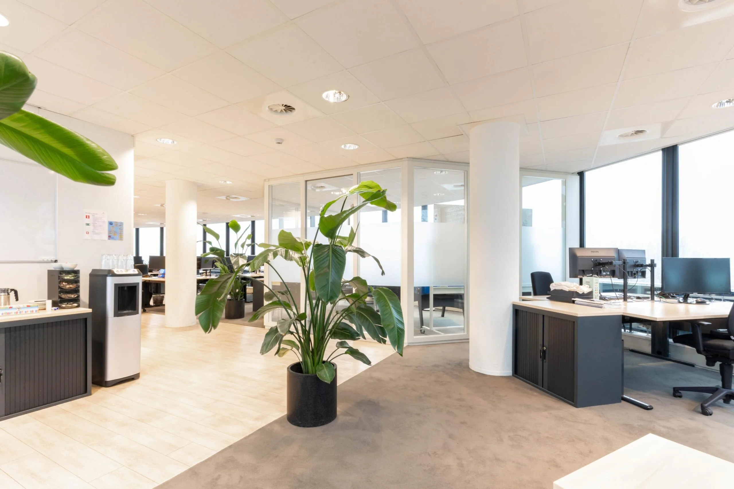 Modern kantoorinterieur aan de 1e Hogeweg met bureaus, grote kamerplanten en glazen vergaderruimte.