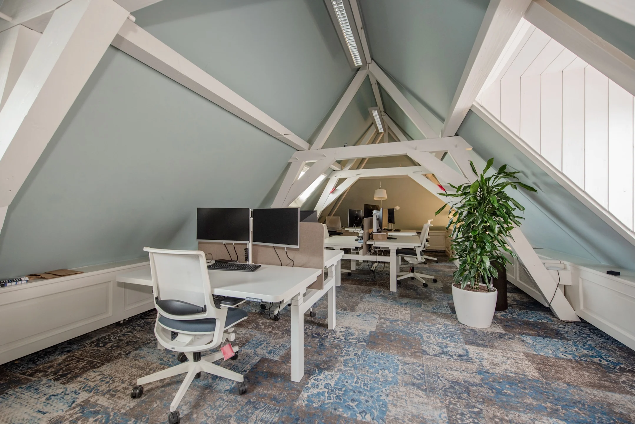 Modern kantoor in een lichte zolderruimte aan de Jan Thijssenweg met werkplekken, bureaustoelen en een grote kamerplant.