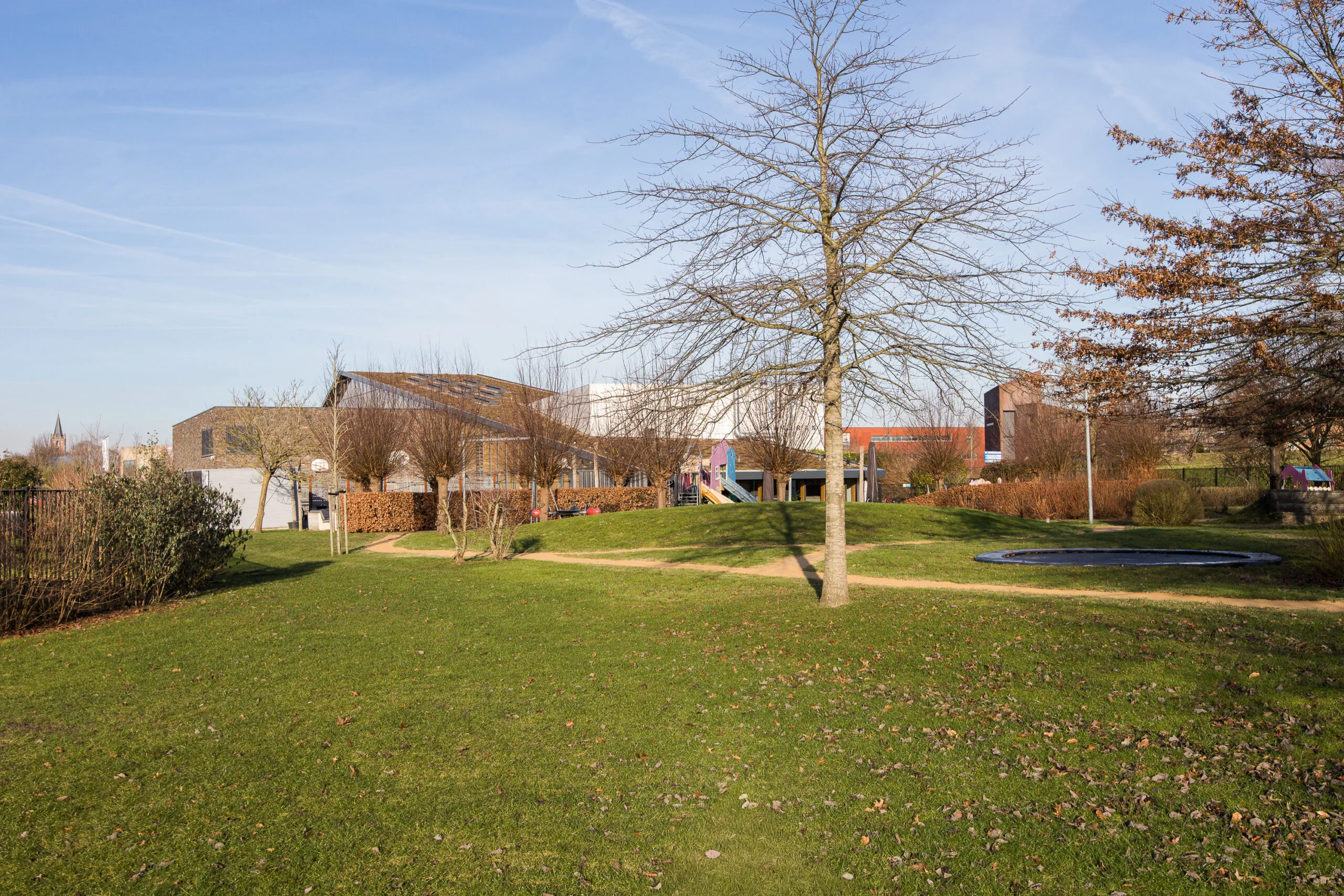 Een winterse park met kale bomen, een grasveld en een gebouw op de achtergrond op een zonnige dag.