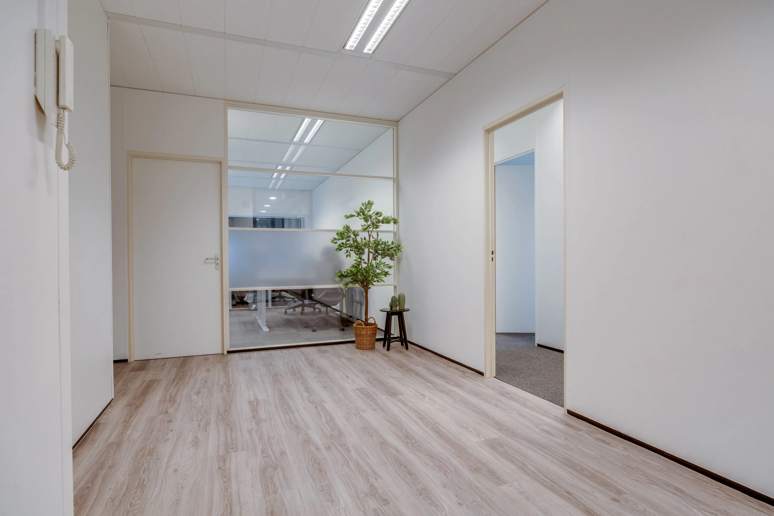 Een moderne, minimalistische kantoorhal met houten vloer, kamerplanten en glazen wanden.