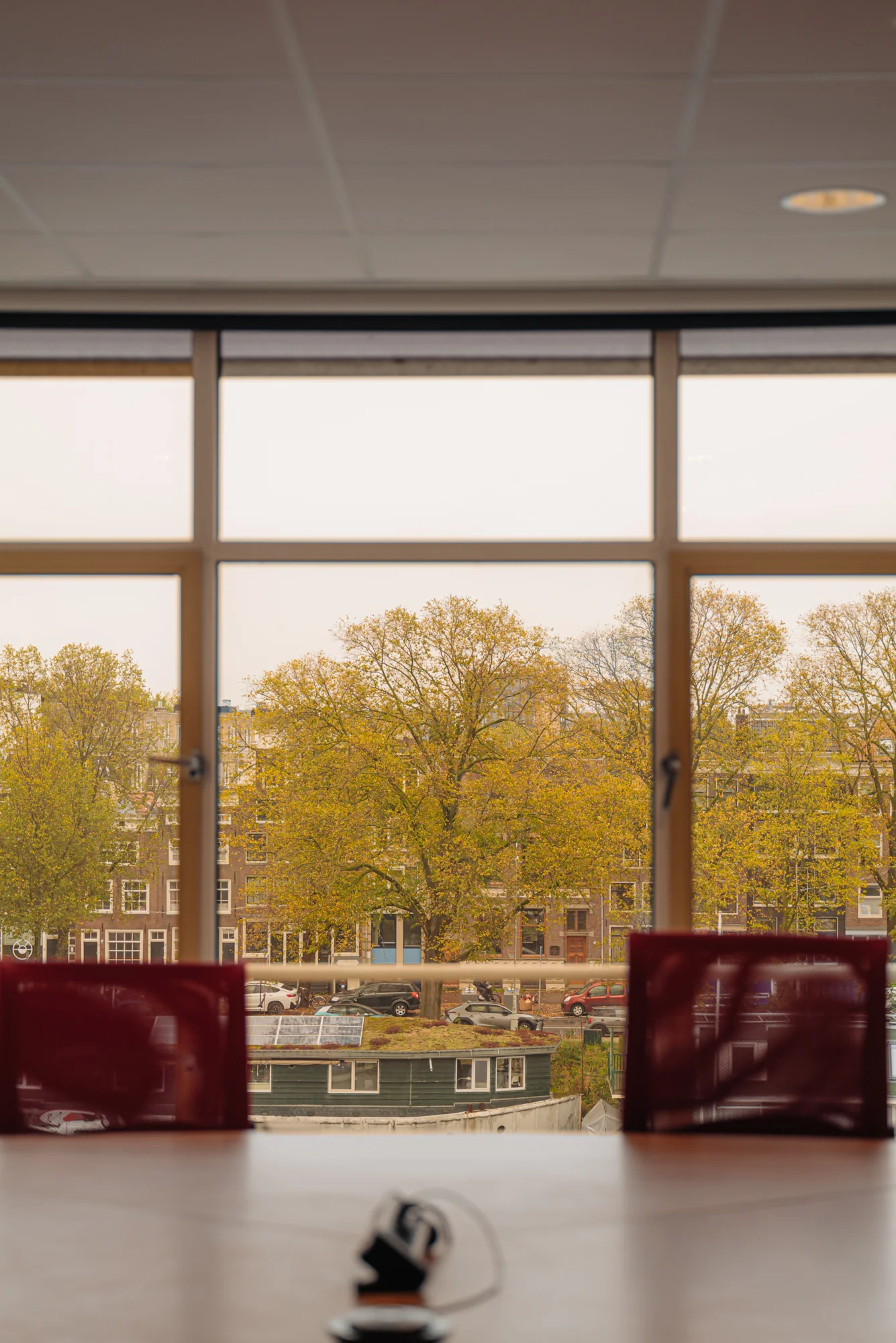 Uitzicht vanuit een raam op bomen en grachtenpanden aan de Hoogte Kadijk.