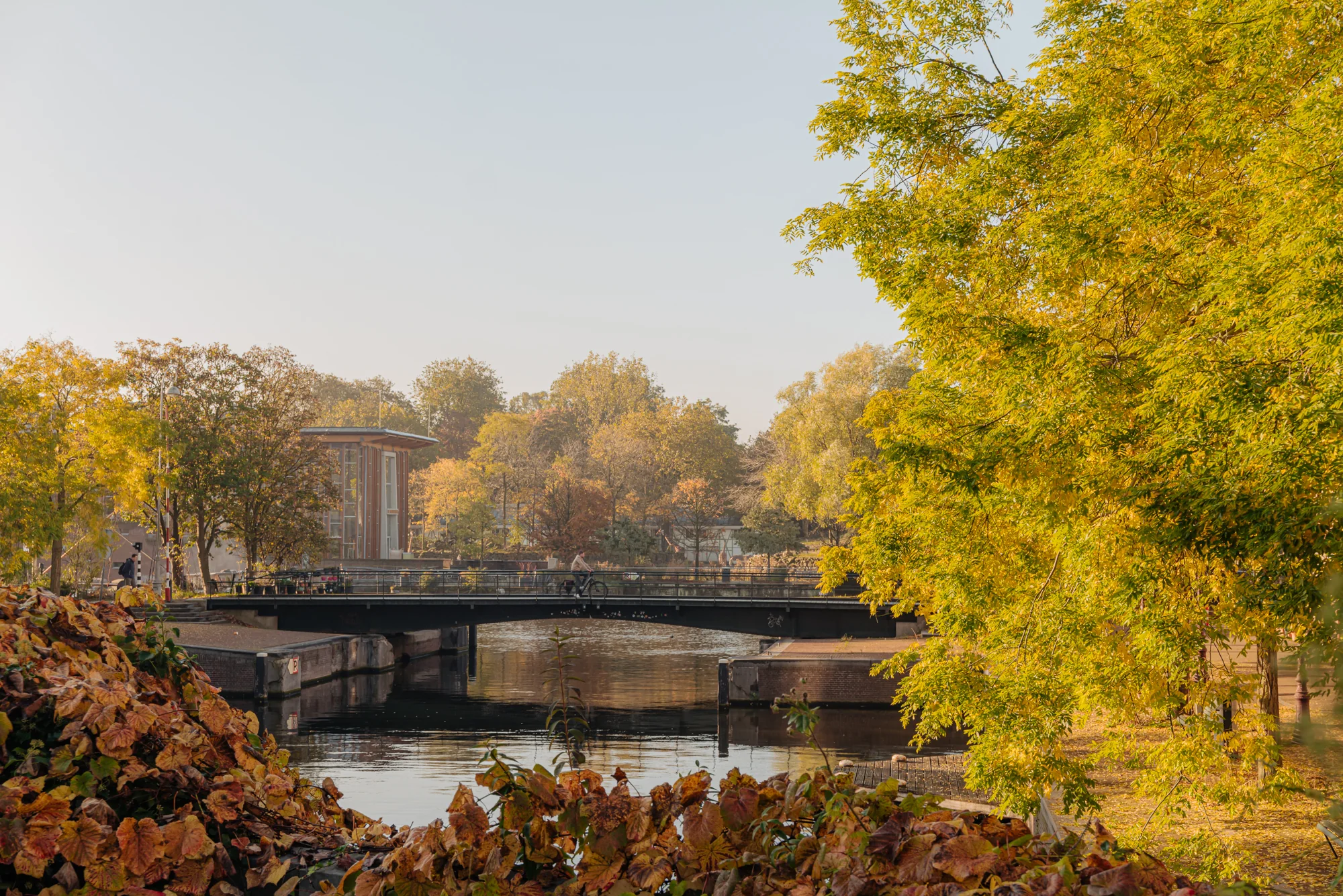 Een brug over een kanaal omgeven door bomen met herfstkleuren in een stadsomgeving.