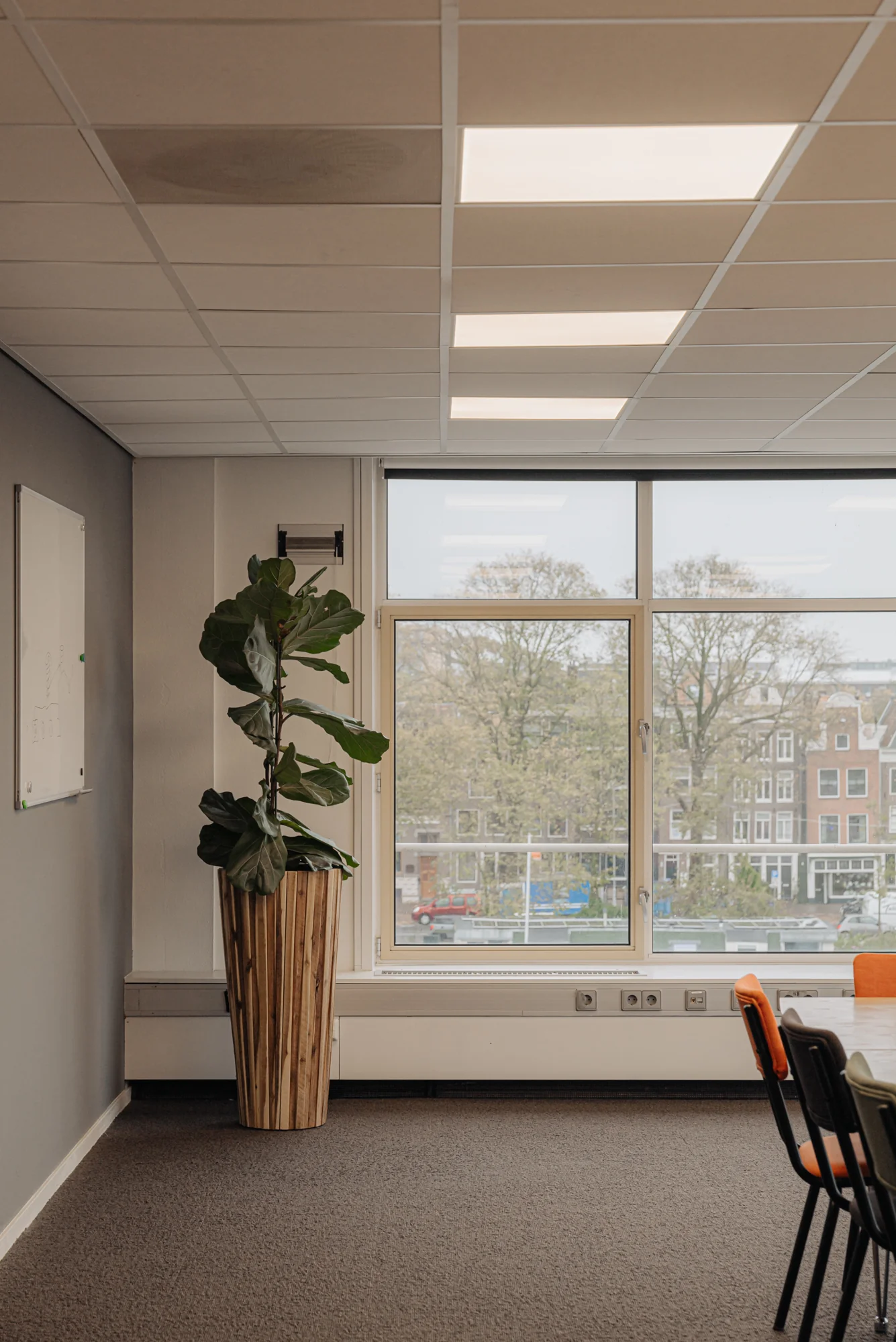 Een vergaderruimte met grote ramen, een plant in een houten pot, tafels en stoelen.