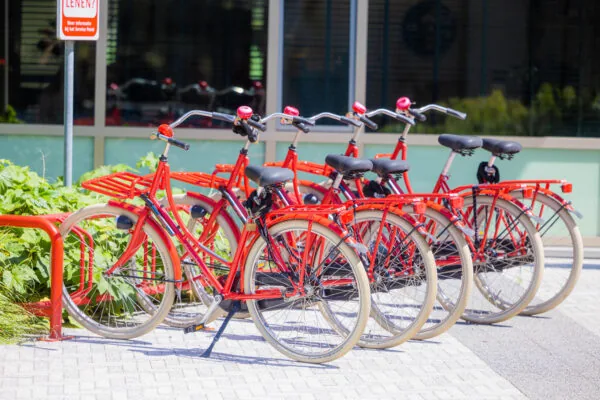 Een rij van zes rode fietsen staat geparkeerd bij een fietsenrek op de Papendorpseweg.