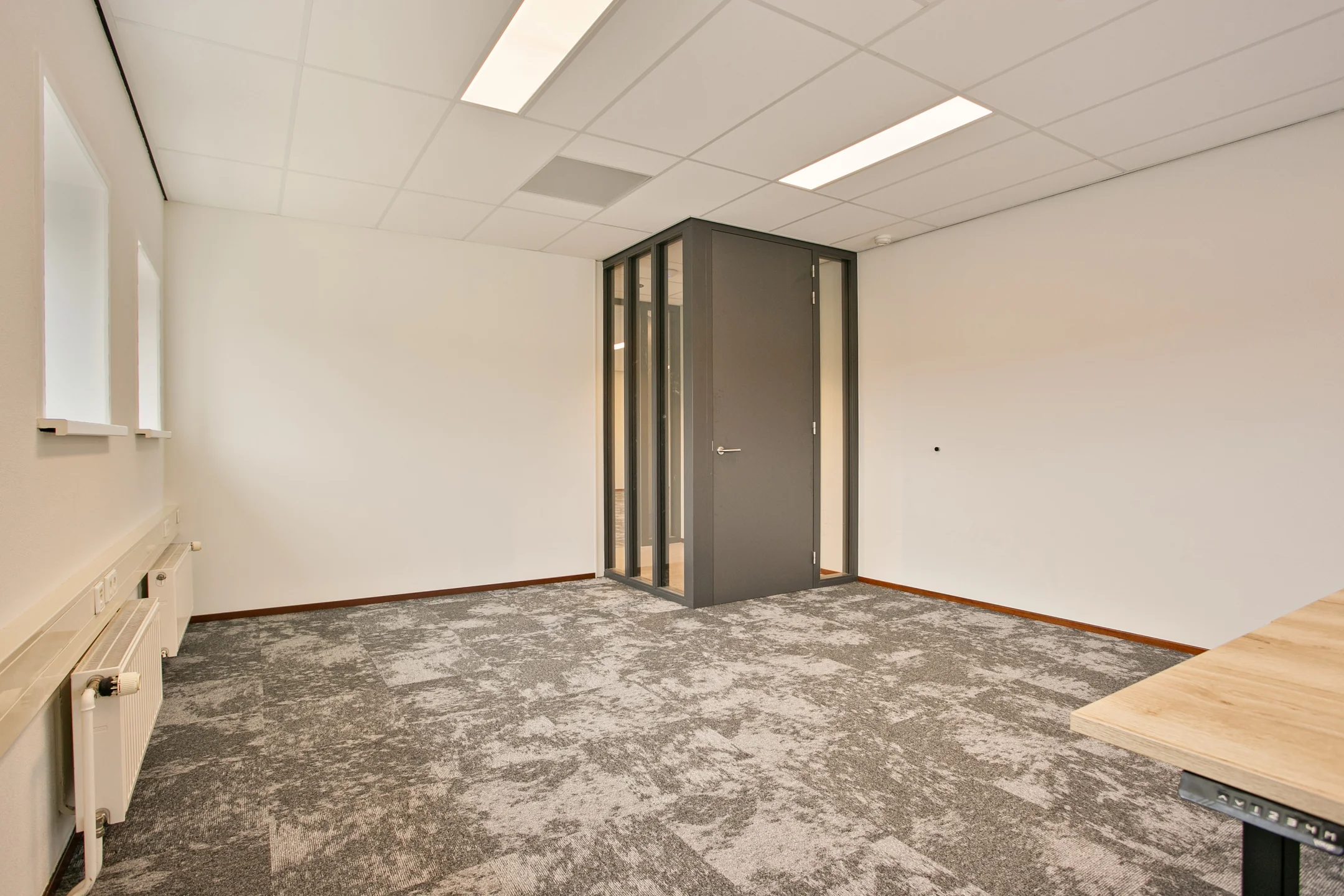 Lege kantoorruimte met vloerbedekking, twee ramen, en een grijze deur met glazen panelen.