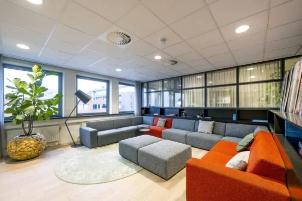 Moderne kantoorruimte met grijze en oranje zithoeken, een grote plant en veel natuurlijk licht.