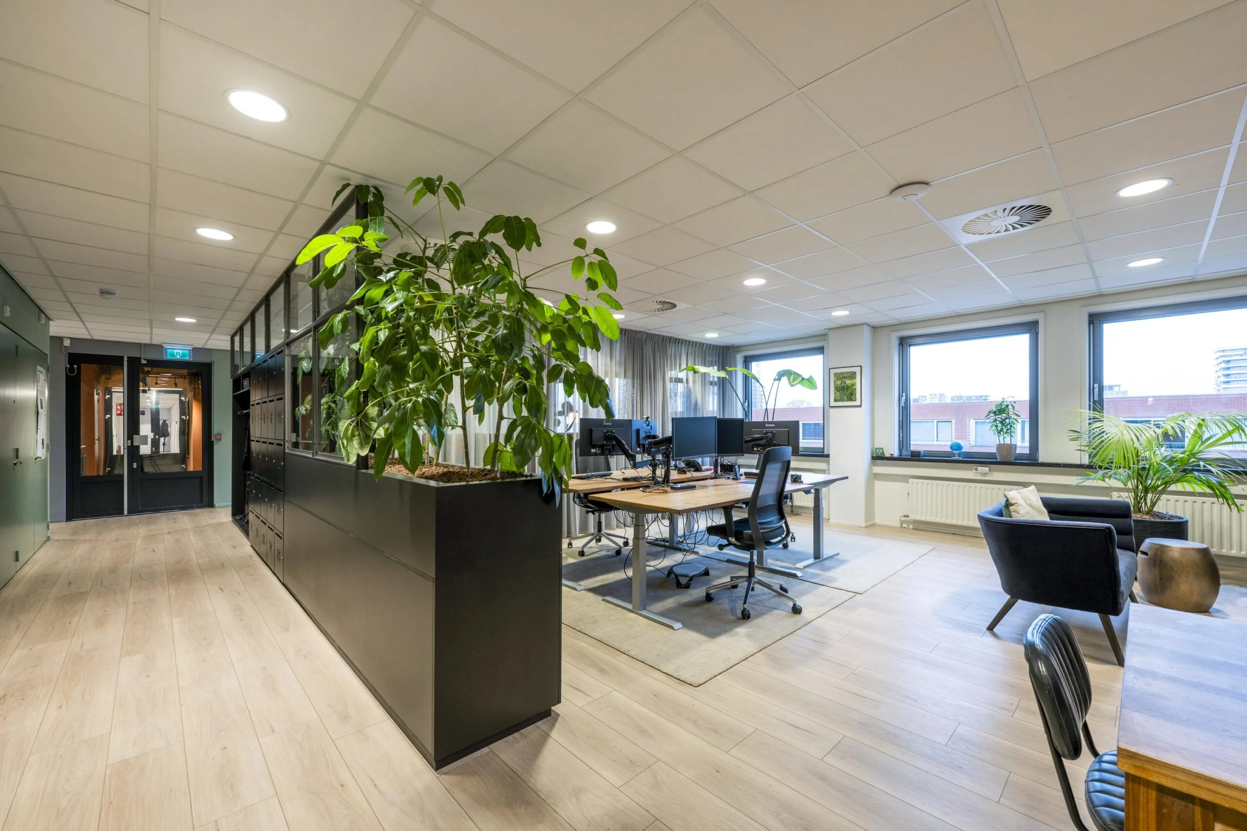 Een modern kantoorinterieur met bureaus, stoelen en grote kamerplanten naast een gang op de Rembrandtweg.
