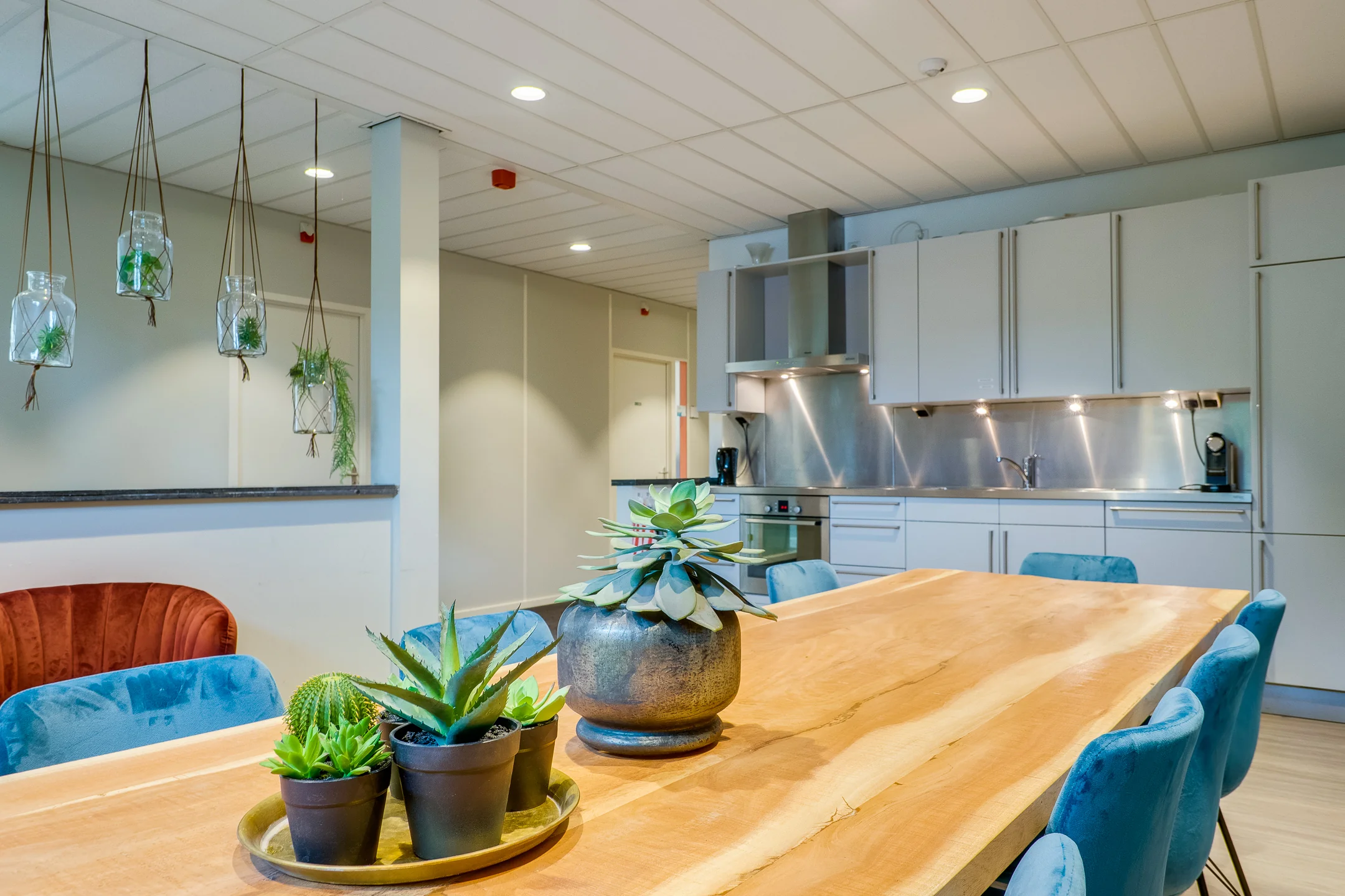 Een moderne keuken met een houten tafel en planten in het midden.