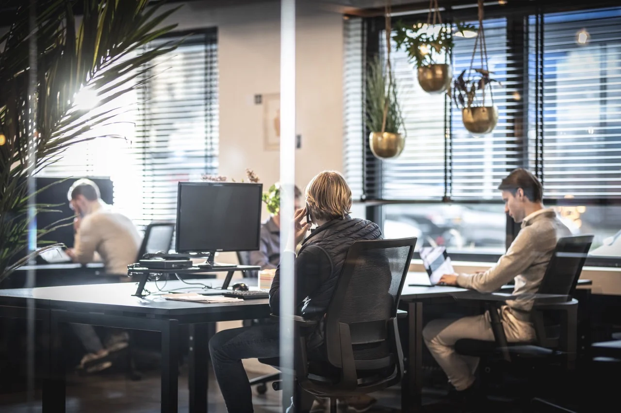 Mensen werken geconcentreerd in een moderne co-workingruimte bij Dreesz, omringd door planten en natuurlijk licht.