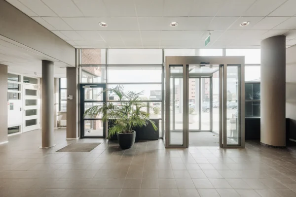 Moderne entreehal met glazen deuren, lichtinval en een grote plant.