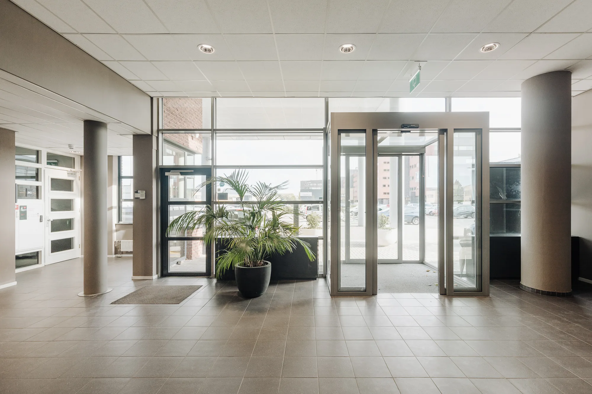 Moderne entreehal met glazen deuren, lichtinval en een grote plant.