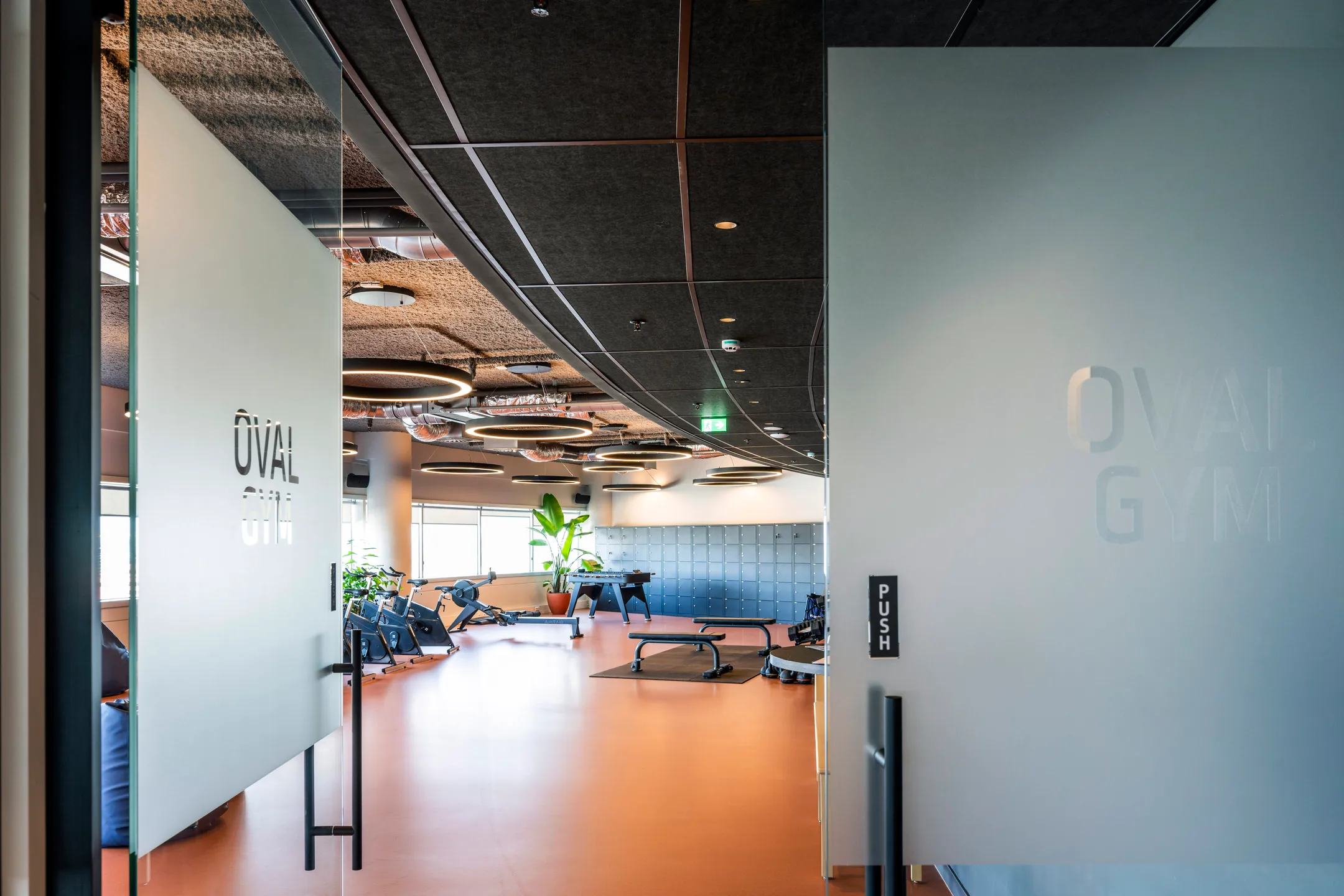 Een moderne gym genaamd "Oval Gym" met fitnessapparatuur en een stijlvolle inrichting.