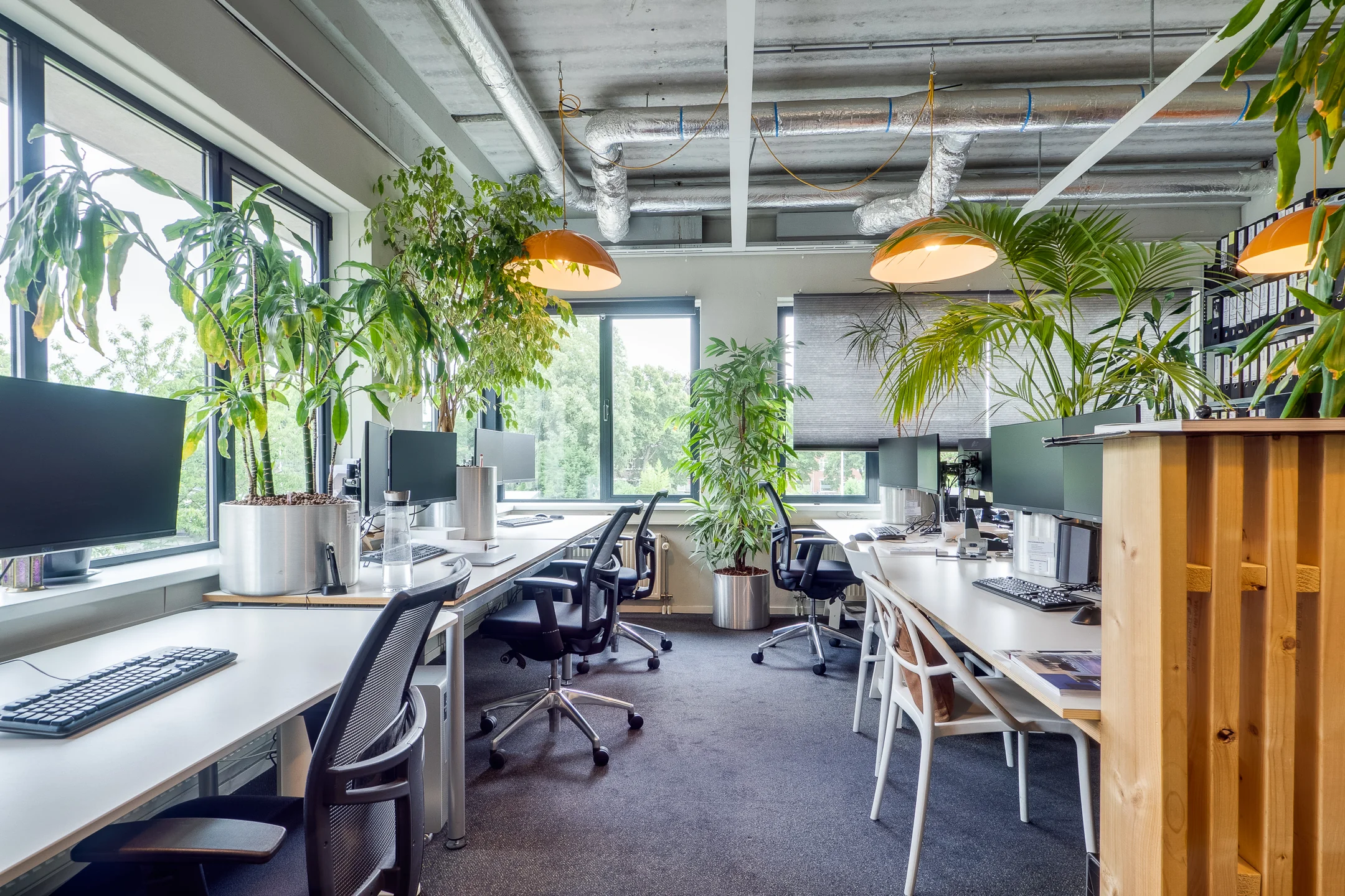 Een modern kantoor met bureaus, stoelen en veel groene planten langs de ramen.