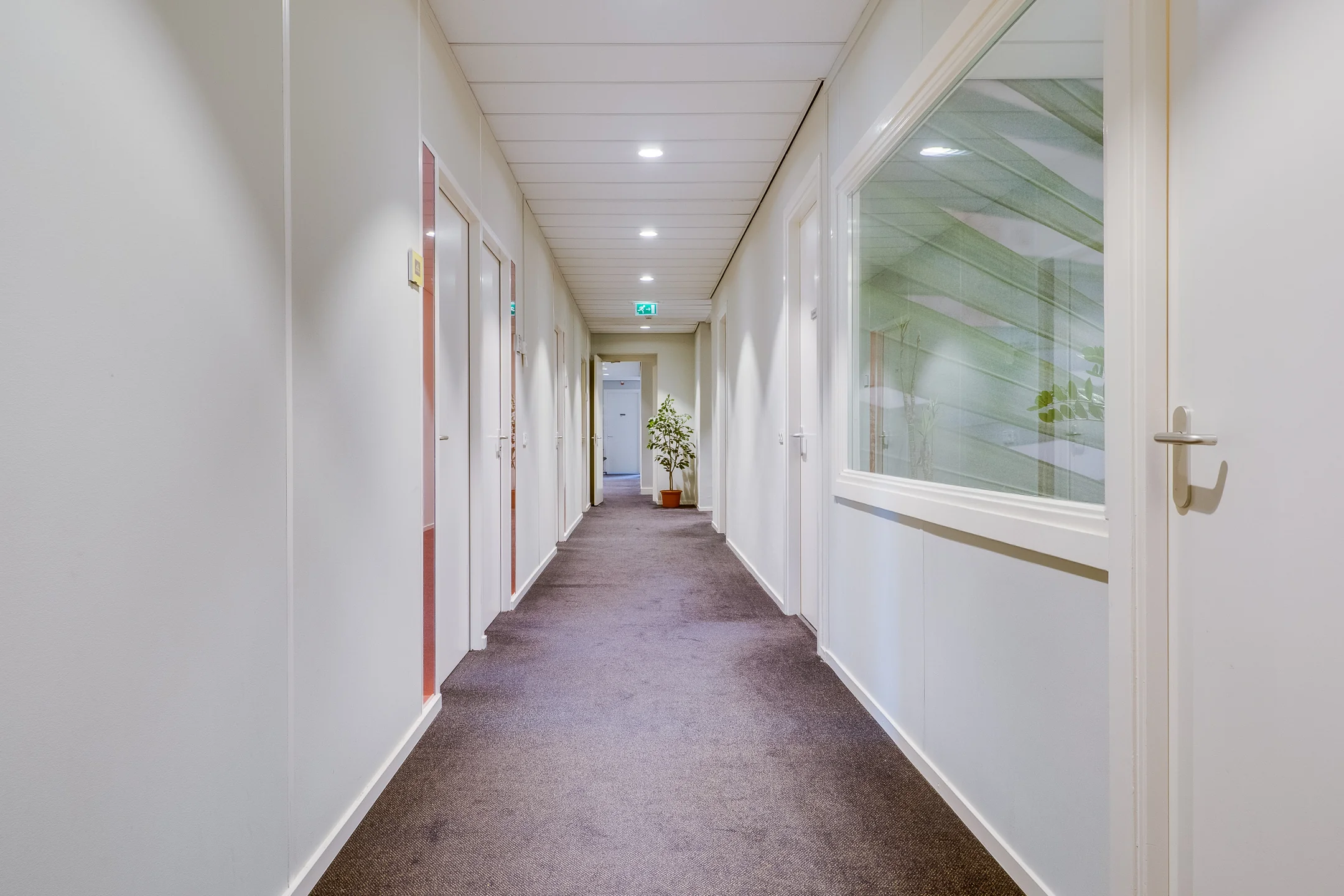 Een lange, smalle gang in een kantoorgebouw met witte muren, meerdere deuren en een plant aan het einde.