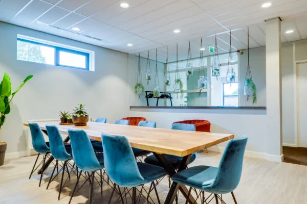 Vergaderruimte met blauwe stoelen rond een houten tafel en hangende planten.