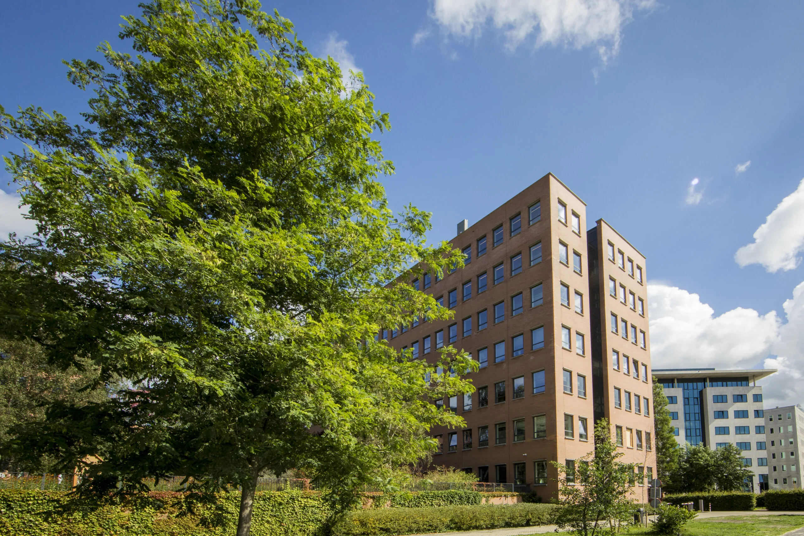 Modern office building EO-ADHUL08 surrounded by greenery under a blue sky.