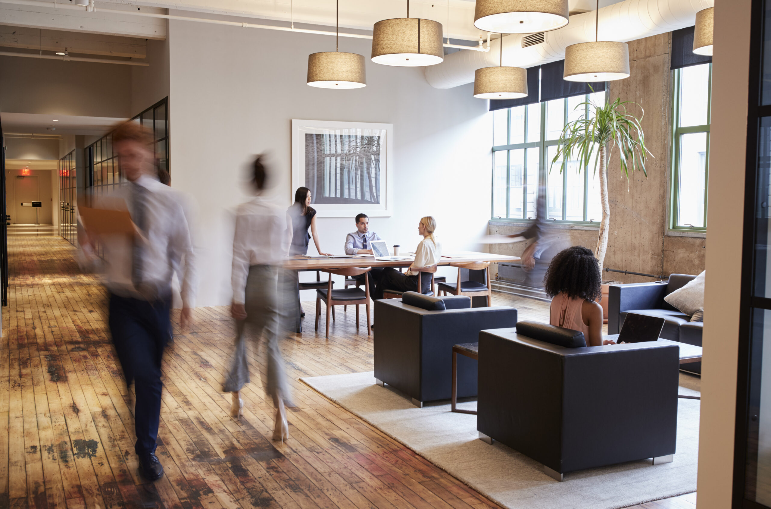 Business professionals working and walking through a stylish, modern office with open seating and natural light.