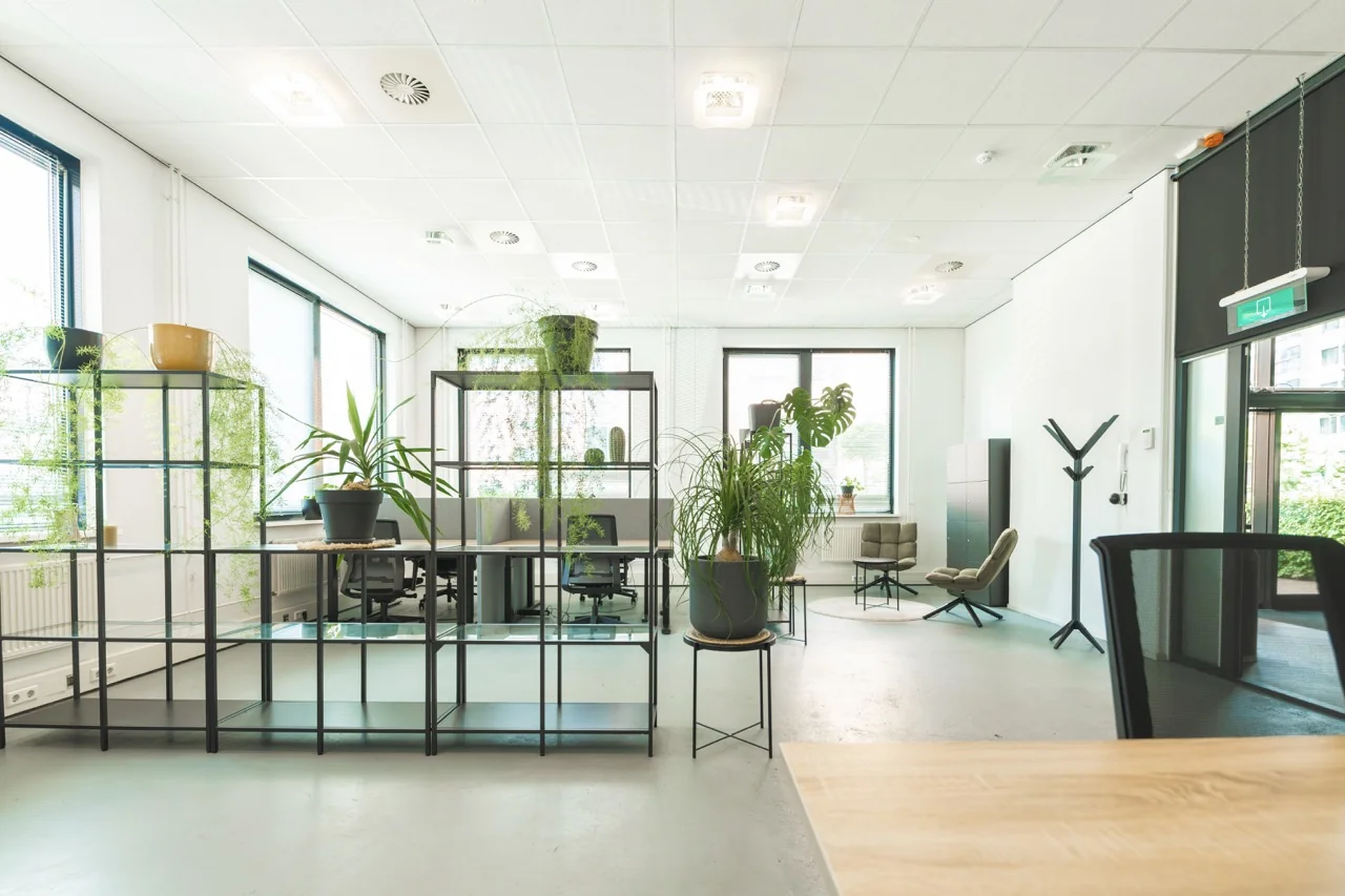 Lichte en moderne flexwerkruimte met bureaus, planten en zitplekken.