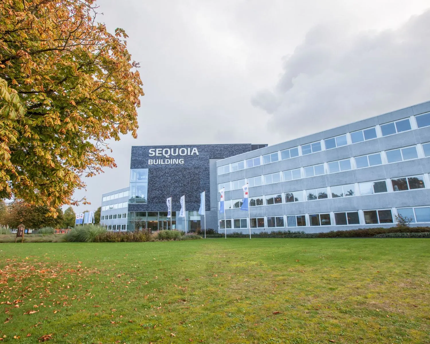 Kantoorruimte in het Sequoia Building aan de Laan van Malkenschoten 40-1 met moderne gevel en omliggend groen.