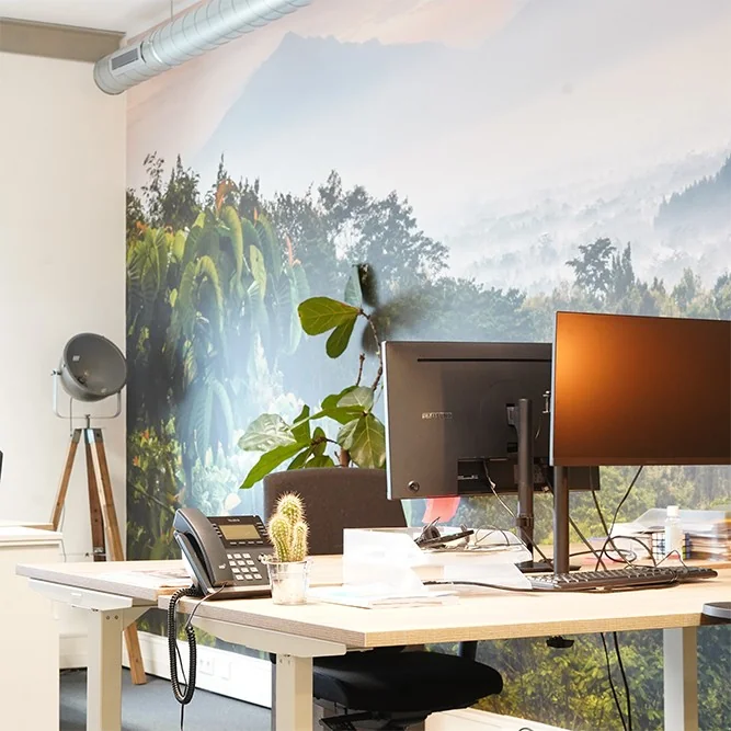 Moderne kantoorruimte met een bureaublad, twee computerschermen, telefoon en planten, met een natuurmuur op de achtergrond.