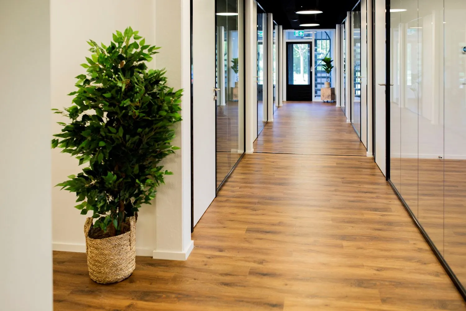 Moderne kantoorruimte aan de Pelmolenlaan 16 in Woerden met glazen kantoordeuren, houten vloer en een grote kamerplant in de gang.