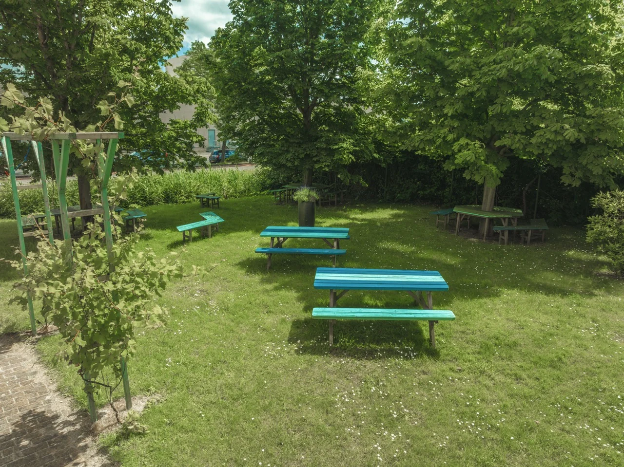 Groen terras met meerdere turquoise picknicktafels onder schaduwrijke bomen op een grasveld.