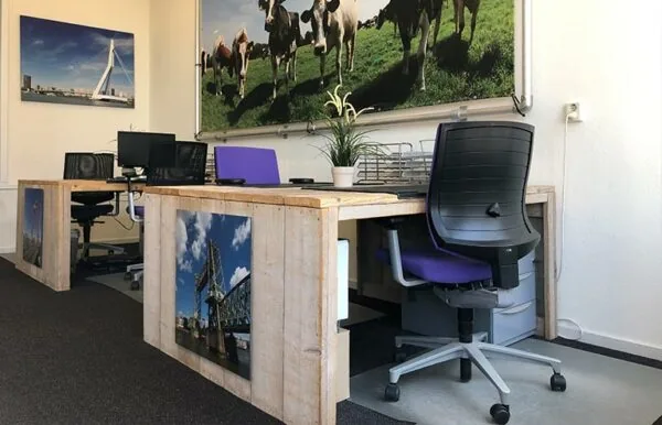 Kantoorruimte met houten bureaus, paarse bureaustoelen en grote foto's van Rotterdam en koeien aan de muur.