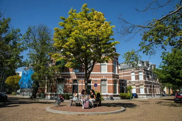 People sitting on a bench under a tree in a quiet street in the Haagse Hout neighborhood of The Hague.