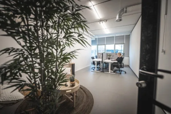 Moderne kantoorruimte aan de Rietbaan 2-12 in Capelle aan den IJssel met werkplekken, grote ramen en een zitgedeelte met planten.