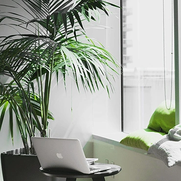Moderne kantoorruimte met een laptop, grote plant en zitplek bij het raam met groene kussens.